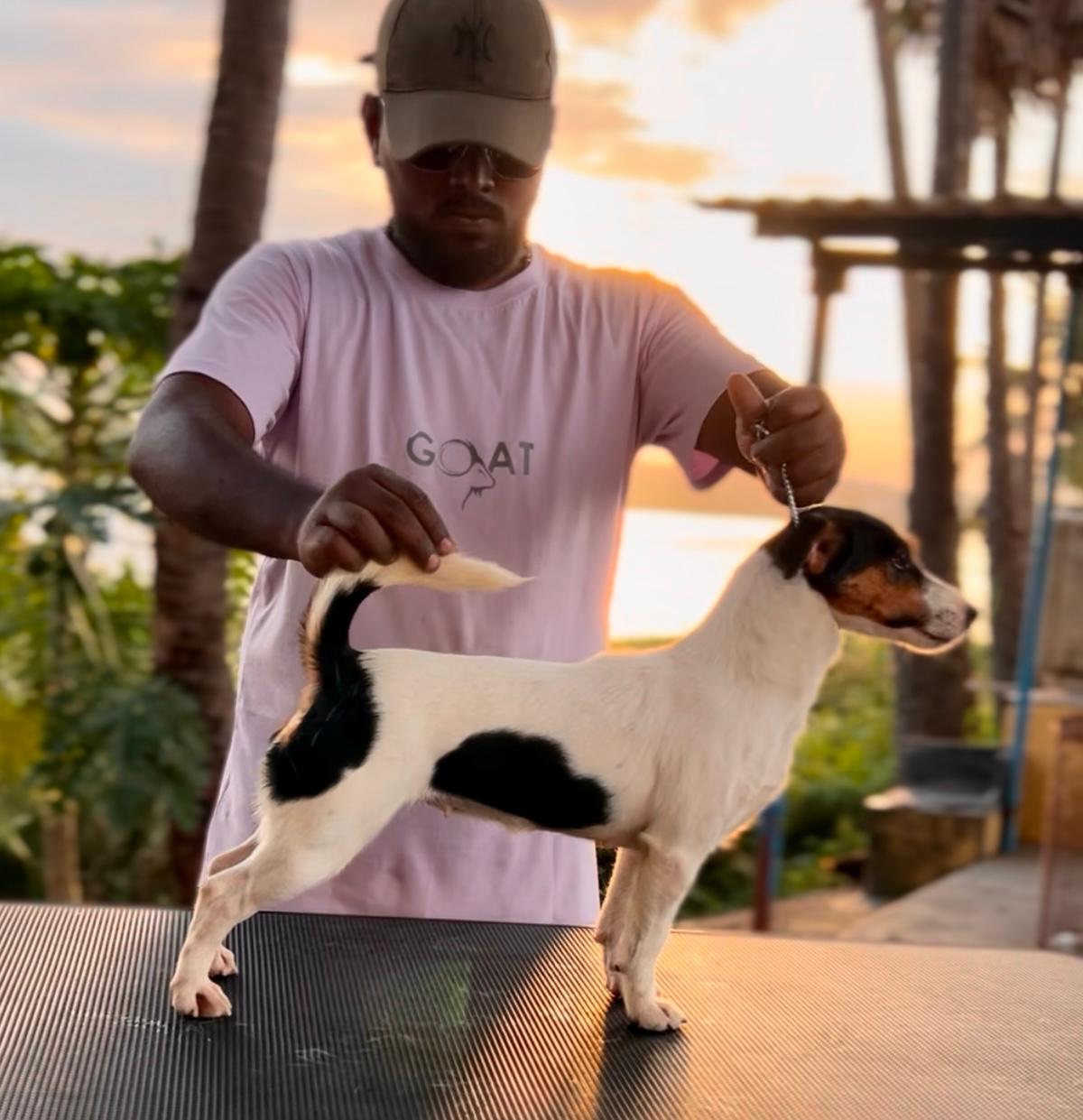 Puppies Moment
